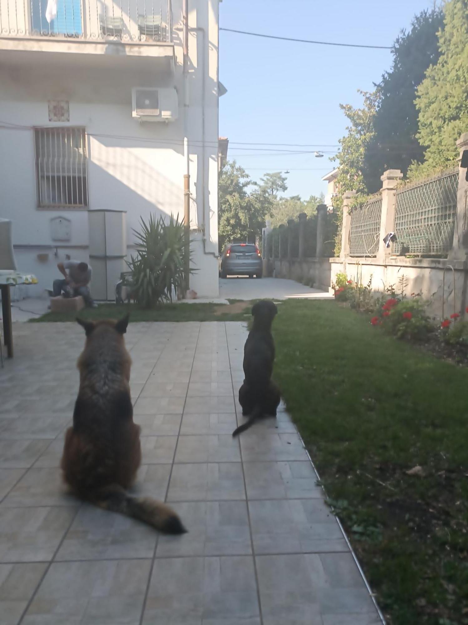 B&B Mavipagi Verona Eksteriør bilde