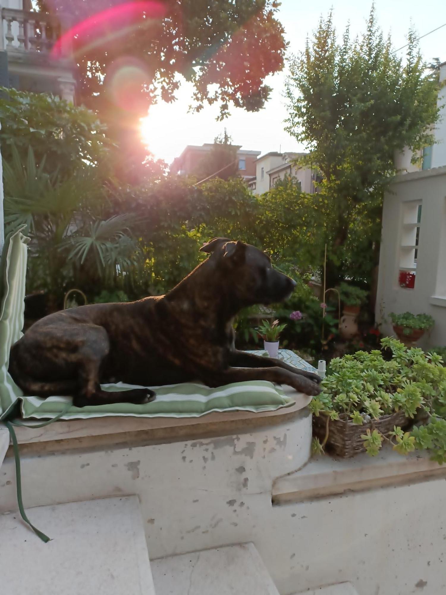 B&B Mavipagi Verona Rom bilde