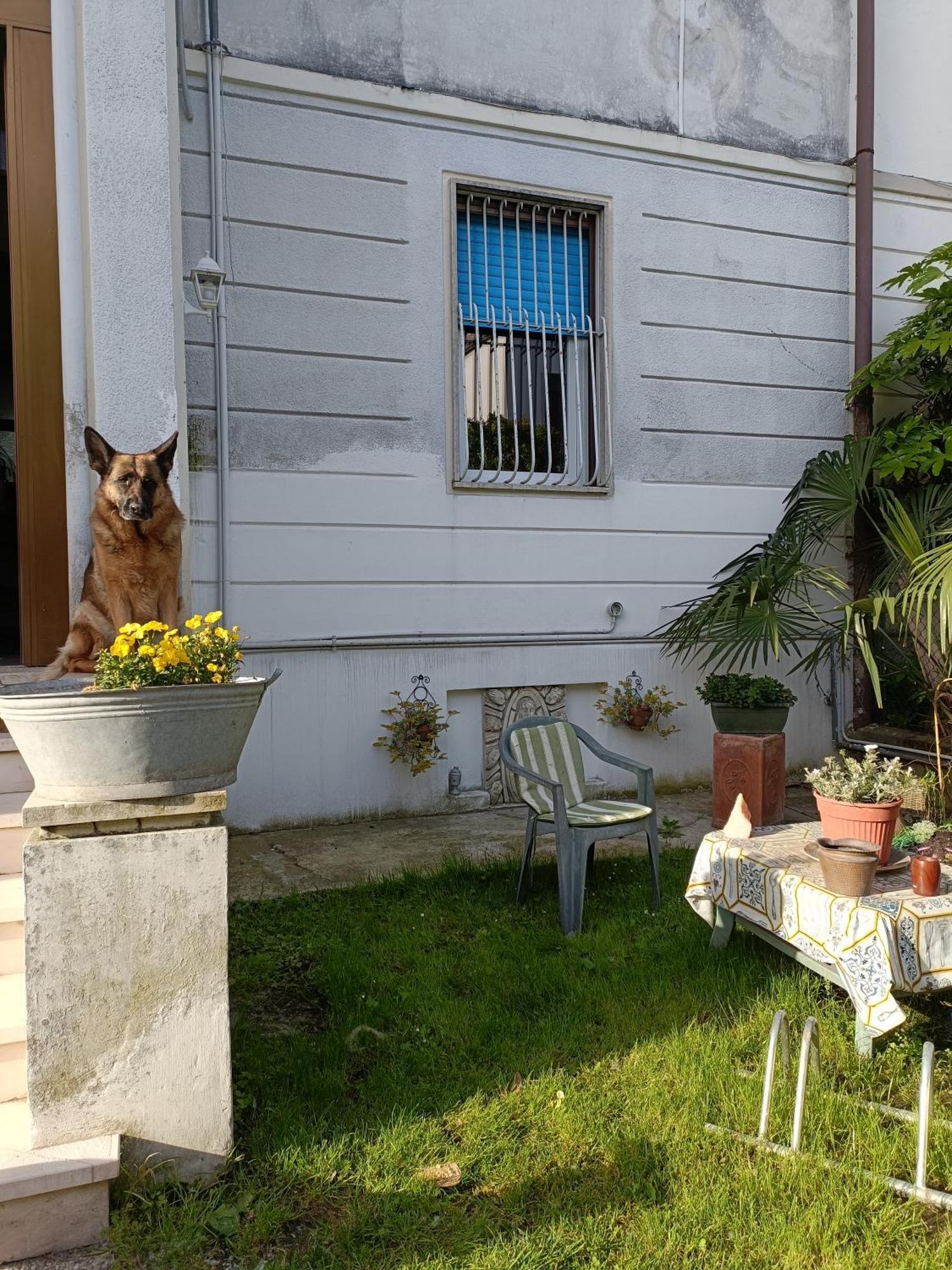 B&B Mavipagi Verona Eksteriør bilde