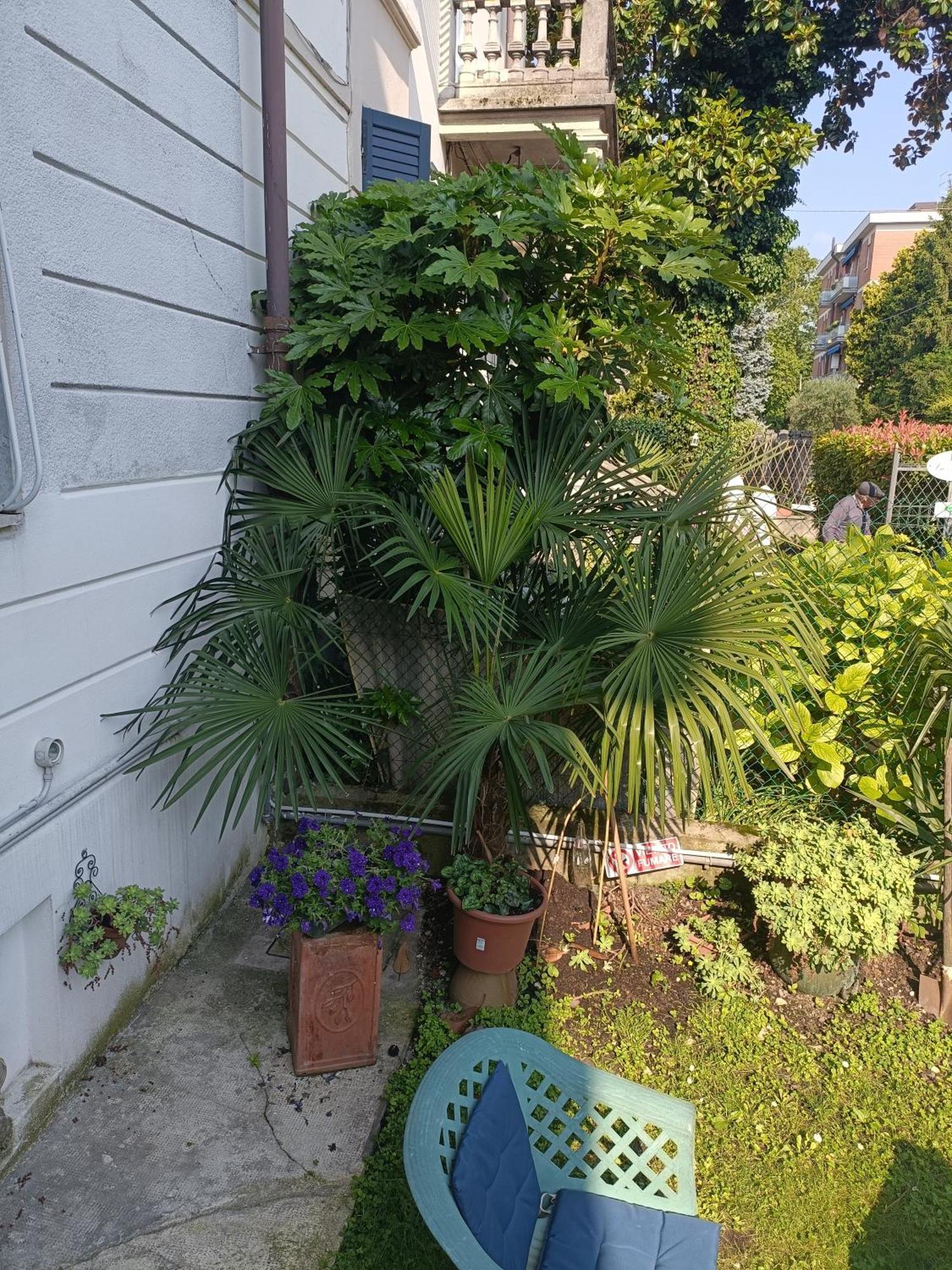 B&B Mavipagi Verona Eksteriør bilde